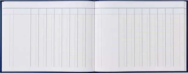 Een Kasboek tabellarisch 210x160mm 96blz 8 kolommen blauw koop je bij Van Leeuwen Boeken- en kantoorartikelen