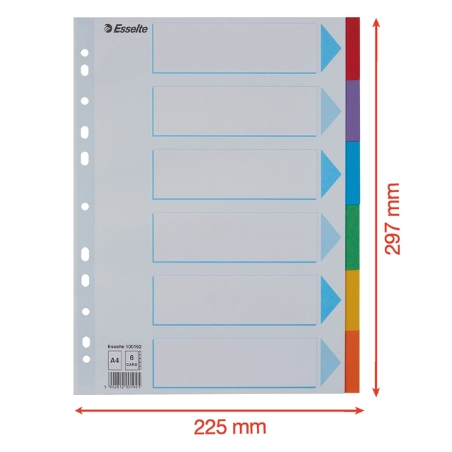 Een Tabbladen Esselte Standaard A4 6-delig karton 11-rings met voorblad assorti koop je bij Unimark Office B.V.