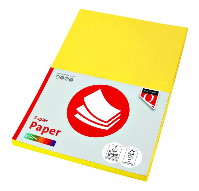 Een Kopieerpapier Quantore Colour A4 160gr geel 50 vel koop je bij KantoorProfi België BV