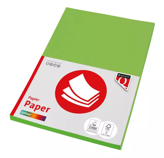 Een Kopierpapier Fastprint A4 160gr hellgrün 50 Blatt koop je bij QuickOffice BV