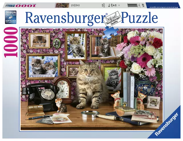 Een Puzzel Ravensburger Mijn katjes 1000 stukjes koop je bij Goedkope Kantoorbenodigdheden