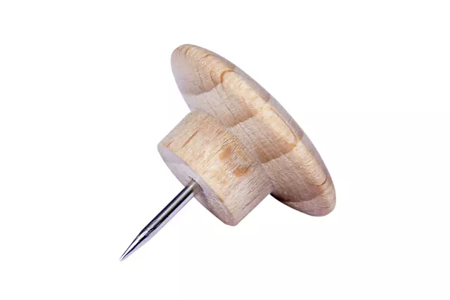 Een Push pins Legamaster hout 25stuks koop je bij EconOffice