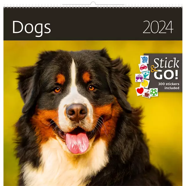 Een Kalender 2025 Helma 365 30x30cm honden koop je bij Goedkope Kantoorbenodigdheden