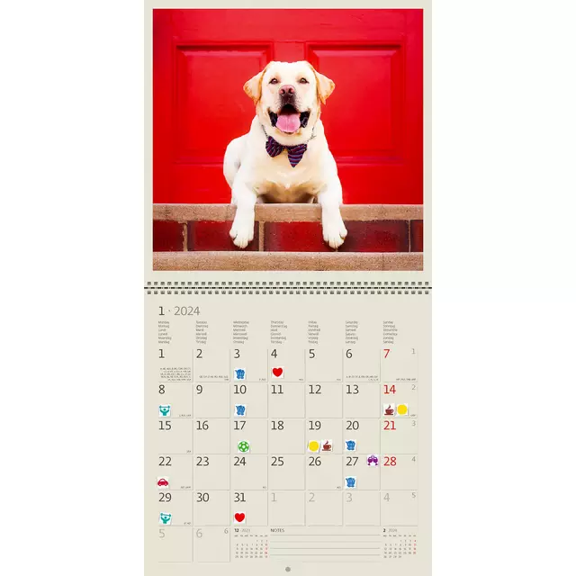 Kalender 2025 Helma 365 30x30cm honden