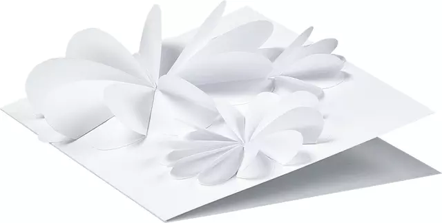 Een Fotokarton Folia 2-zijdig 50x70cm 300gr nr00 wit koop je bij L&N Partners voor Partners B.V.