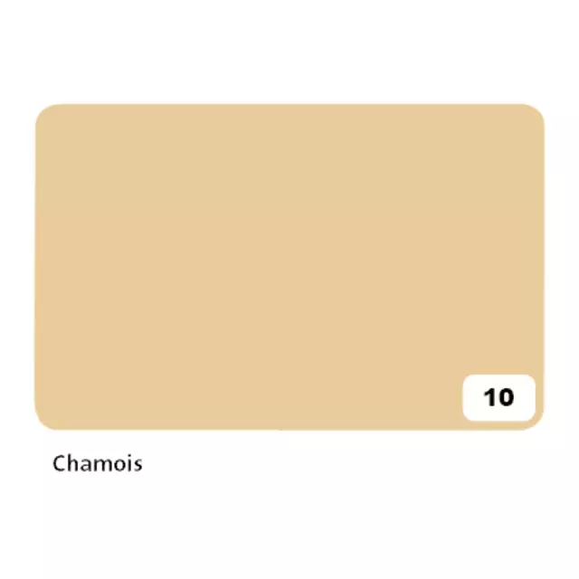Een Fotokarton Folia 2-zijdig 50x70cm 300gr nr10 chamois koop je bij Totaal Kantoor Goeree