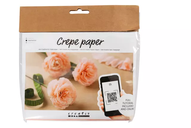 Buy your Craft set Crepe paper Carnations Creotime Carnations mini at QuickOffice BV