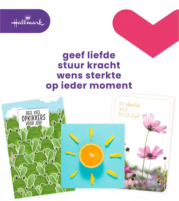 Een Wenskaart Hallmark navulset beterschap/sterkte 12 kaarten koop je bij Van Leeuwen Boeken- en kantoorartikelen