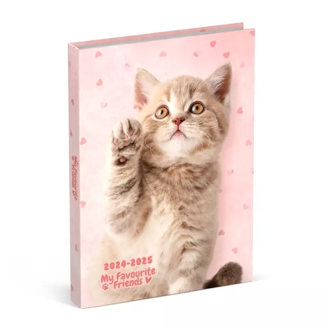 Een Schoolagenda 2024-2025 Lannoo My Favourite Friends Cat 1dag/1pagina koop je bij Van Leeuwen Boeken- en kantoorartikelen