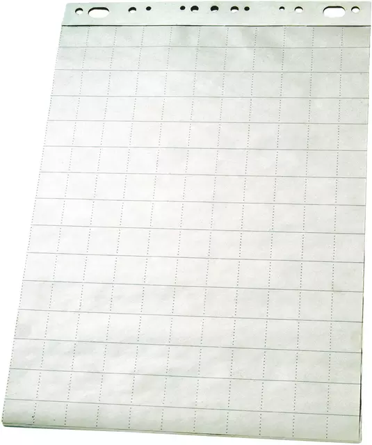 Een Flipoverpapier Esselte 60x85cm ruit/blanco 50vel koop je bij Kantoorvakhandel van der Heijde