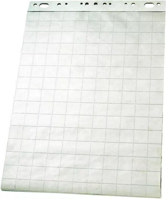 Een Flipoverpapier Esselte 65x100cm ruit/blanco 50vel koop je bij Van Leeuwen Boeken- en kantoorartikelen