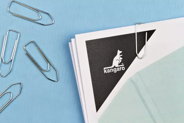 Een Paperclip Kangaro 32mm hoekig verzinkt doos à 100 stuks koop je bij KantoorProfi België BV