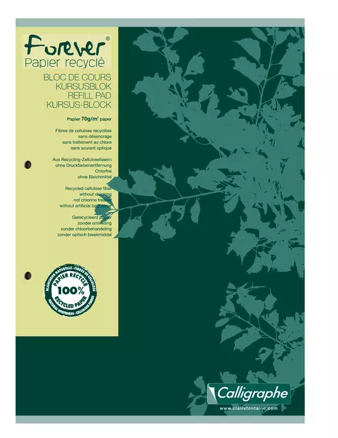 Een Cursusblok Clairfontaine Forever Calligraphe A4 lijn 2-gaats 200 pagina's 70gr groen koop je bij MV Kantoortechniek B.V.