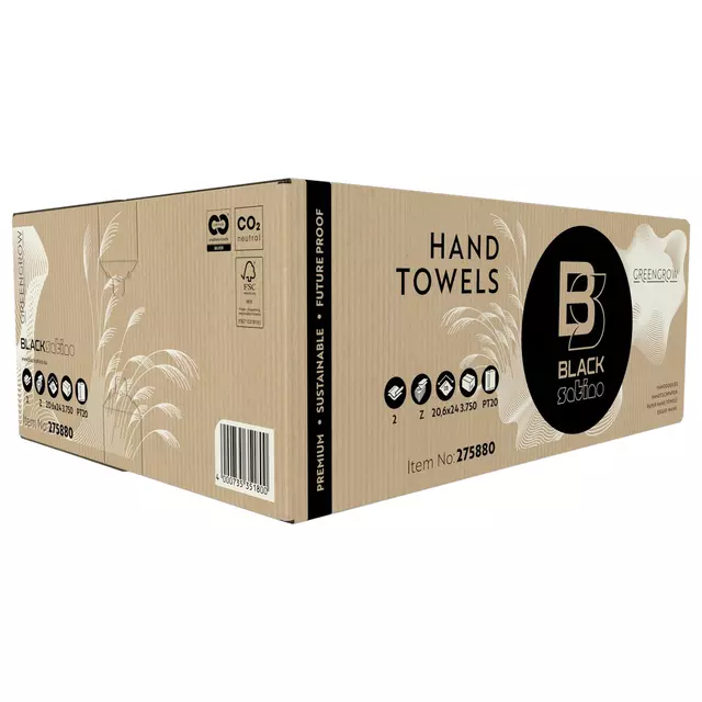 Een Handdoek BlackSatino GreenGrow PT20 Z-vouw 2-laags 206x240mm 25x150vel naturel 275880 koop je bij L&N Partners voor Partners B.V.