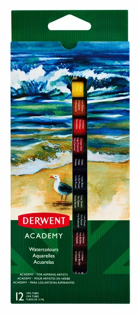 Een Aquarelverf Derwent Academy blister à 12 tubes à 12ml assorti koop je bij Van Leeuwen Boeken- en kantoorartikelen