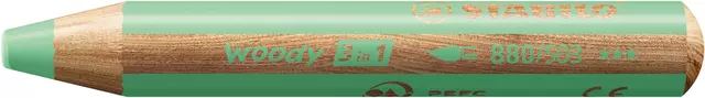 Een Kleurpotloden STABILO 880 woody 3 in 1 multitalent pastel groen koop je bij Van Leeuwen Boeken- en kantoorartikelen