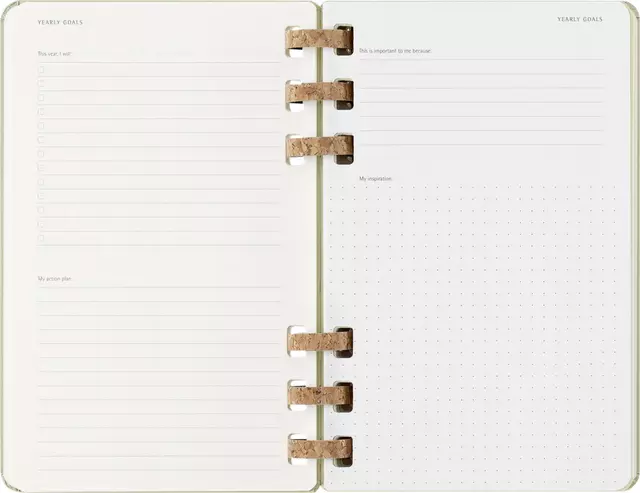 Een Agenda 2024/2025 Moleskine 12M Academic planner 7dagen/2pagina's large hc crush kiwi koop je bij Omnia 4 Office