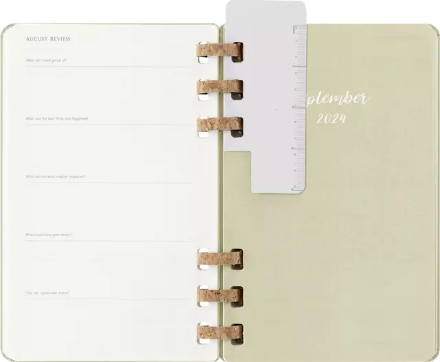 Een Agenda 2024/2025 Moleskine 12M Academic planner 7dagen/2pagina's large hc crush kiwi koop je bij Tonerinktshop