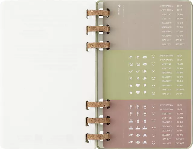 Een Agenda 2024/2025 Moleskine 12M Academic planner 7dagen/2pagina's large hc crush kiwi koop je bij EconOffice