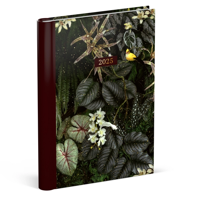 Buy your Agenda 2025 Lannoo Botanic 7dagen/2pagina's dark green at QuickOffice BV