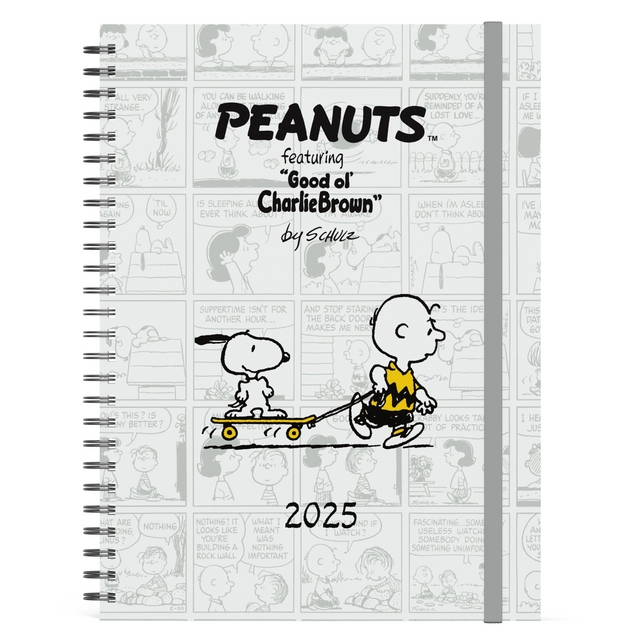 Een Agenda 2025 Lannoo bureau Peanuts 7dagen/2pagina's koop je bij KantoorProfi België BV