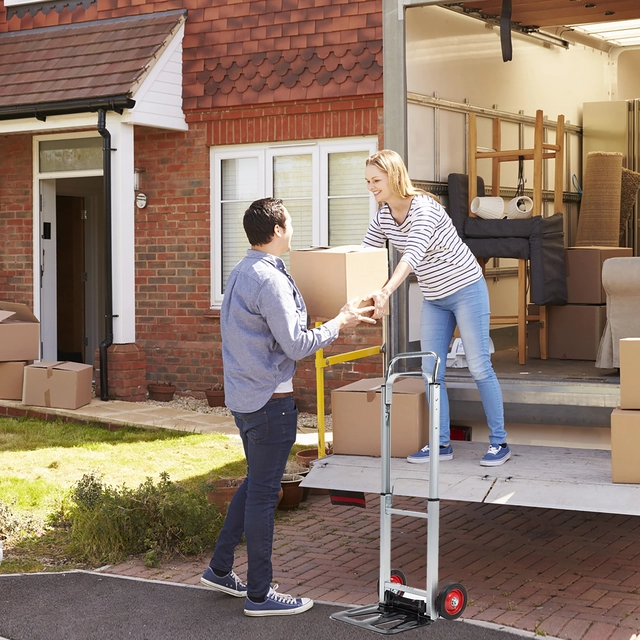 Een Steekwagen BRASQ stalen plateau 90 kg koop je bij MegaOffice