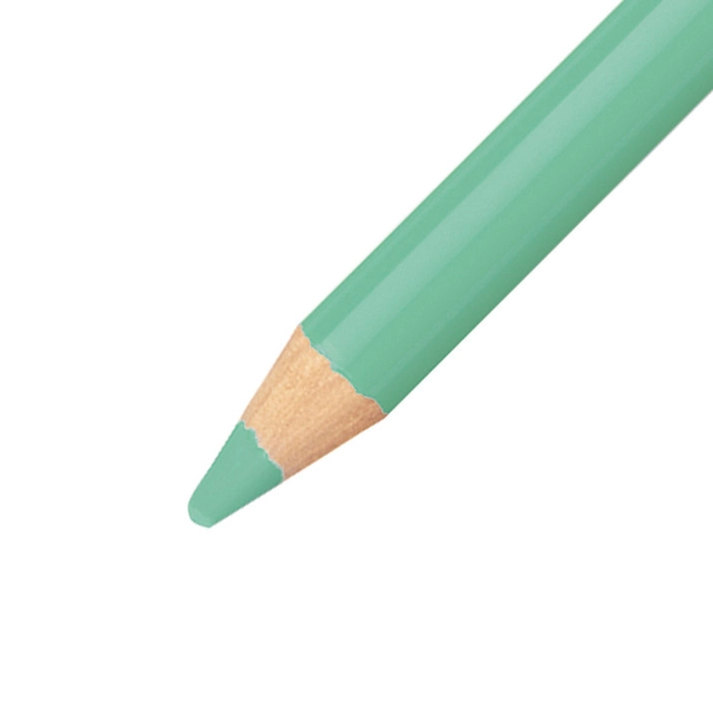 Een Kleurpotloden STABILO CarbOthello kalkpastel lichtsmaragdgroen koop je bij Omnia 4 Office