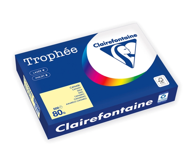 Een Kopieerpapier Trophée A4 80gr geel 500 vel koop je bij NiceSupplies.nl