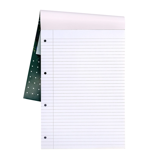 Een Bloc-notes Pukka Pad Recycled A4 ligné 4 perforations 100 feuilles 80g koop je bij QuickOffice BV