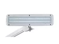 Een Werkpleklamp MAUL Intro LED tafelklem dimbaar wit koop je bij KantoorProfi België BV