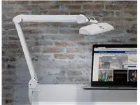 Werkpleklamp MAUL Intro LED tafelklem dimbaar wit