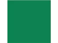Een Kinderlijm Elmer's opaque groen koop je bij Van Leeuwen Boeken- en kantoorartikelen