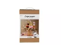 Buy your Craft set Crepe paper Carnations Creotime Bouquet at QuickOffice BV