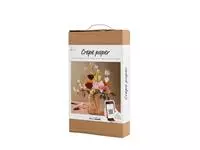 Buy your Craft set Crepe paper Carnations Creotime Bouquet at QuickOffice BV