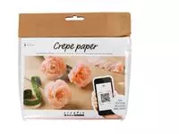 Buy your Craft set Crepe paper Carnations Creotime Carnations mini at QuickOffice BV