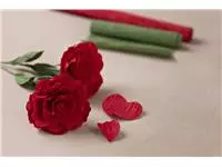 Een Crêpepapier Creativ Company DIY rozen koop je bij EconOffice