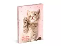 Een Schoolagenda 2024-2025 Lannoo My Favourite Friends Cat 1dag/1pagina koop je bij Van Leeuwen Boeken- en kantoorartikelen