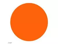 Plakkaatverf Creall basic oranje 500ml