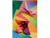 Een Origami Clairefontaine Gradient 20x20cm set à 100 vel 80gram assorti koop je bij EconOffice