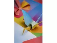 Een Origami Clairefontaine Gradient 20x20cm set à 100 vel 80gram assorti koop je bij KantoorProfi België BV