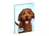 Een Schoolagenda 2024-2025 Lannoo My Favourite Friends hond 1dag/1pagina koop je bij Van Leeuwen Boeken- en kantoorartikelen