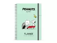 Een Schoolagenda 2024-2025 Lannoo Peanuts Special 18maanden 7dagen/2pagina's koop je bij Van Leeuwen Boeken- en kantoorartikelen