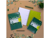 Een Projectboek Pukka Pad Recycled A4 lijn 5-tabs 4-gaats 200 pagina's 80gr groen koop je bij KantoorProfi België BV