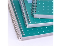 Buy your Collegeblok Pukka Pad Jotta A4 lijn 4-gaats 200 pagina's 80gr groen at QuickOffice BV