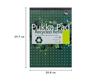 Een Schrijfblok Pukka Pad Recycled A4 lijn 4-gaats 100 vel 80gr koop je bij Van Hoye Kantoor BV