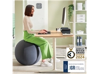 Een Ballon d'assise Leitz Ergo anti-basculement 55cm gris foncé koop je bij QuickOffice BV