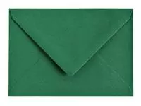Een Envelop Papicolor C6 114x162mm dennengroen koop je bij L&N Partners voor Partners B.V.