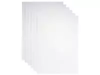 Een Kopieerpapier Papicolor A4 300gr 3vel metallic parelwit koop je bij Van Leeuwen Boeken- en kantoorartikelen