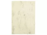 Een Kopieerpapier Papicolor A4 200gr 6vel marble ivoor koop je bij Van Hoye Kantoor BV