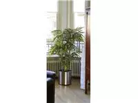 Een Kunst Bamboe 150cm groen koop je bij EconOffice